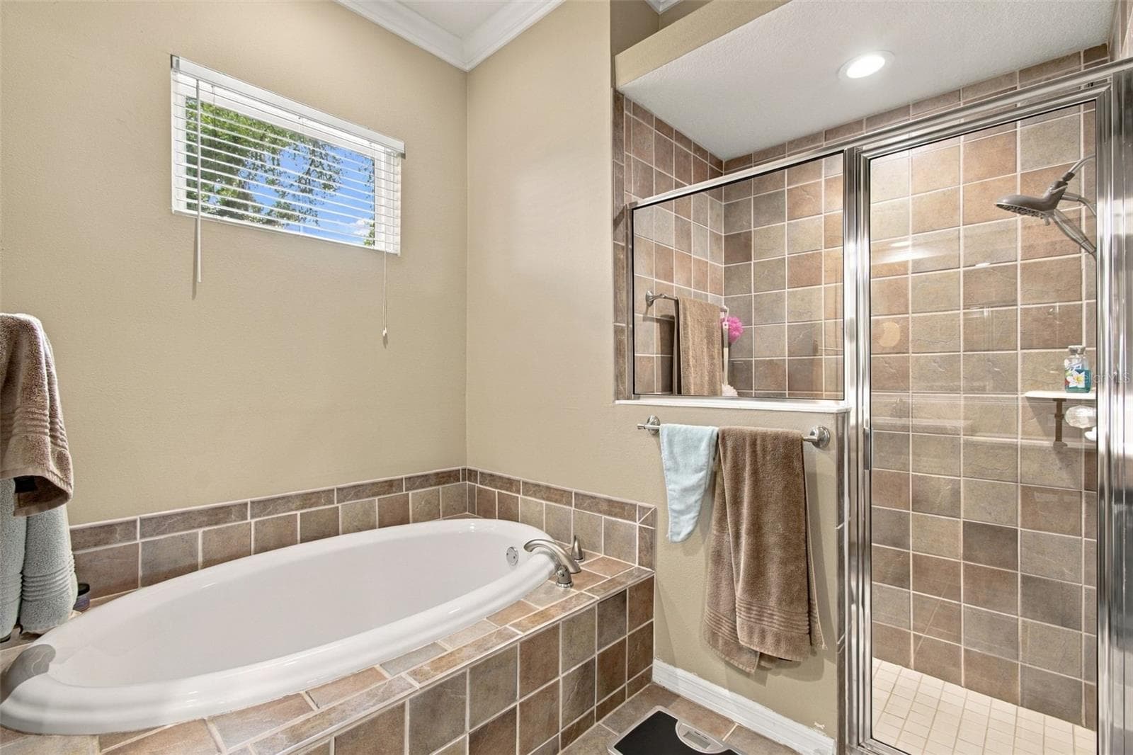 Primary Bathroom - 5105 SYLVAN OAKS DR, VALRICO