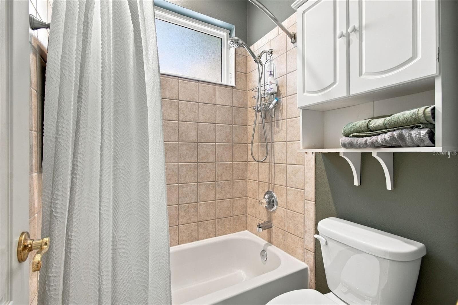 Bath2 - 5105 SYLVAN OAKS DR, VALRICO