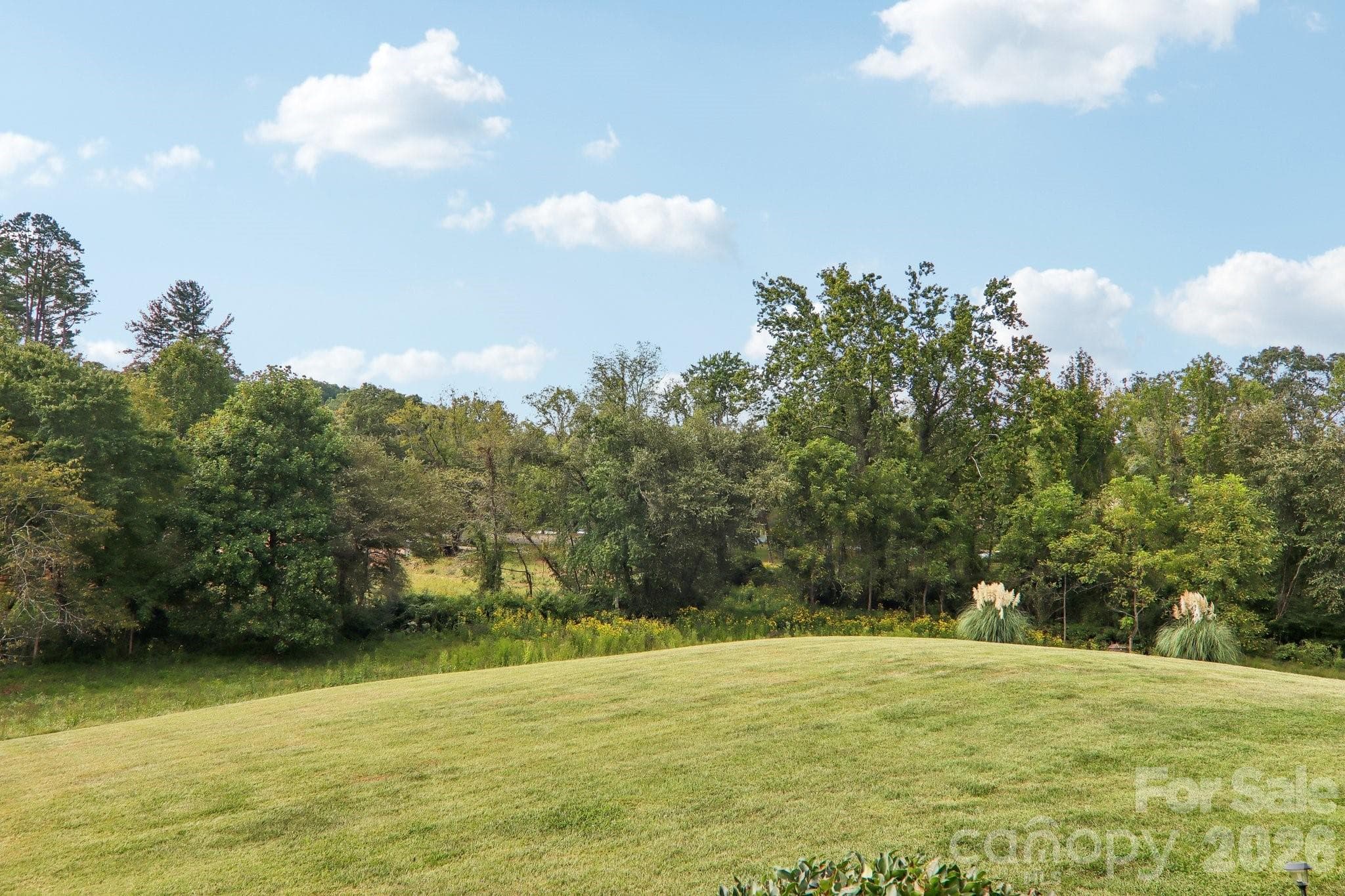 One Acre rolling back yard - 107 New Pinner Place, Arden