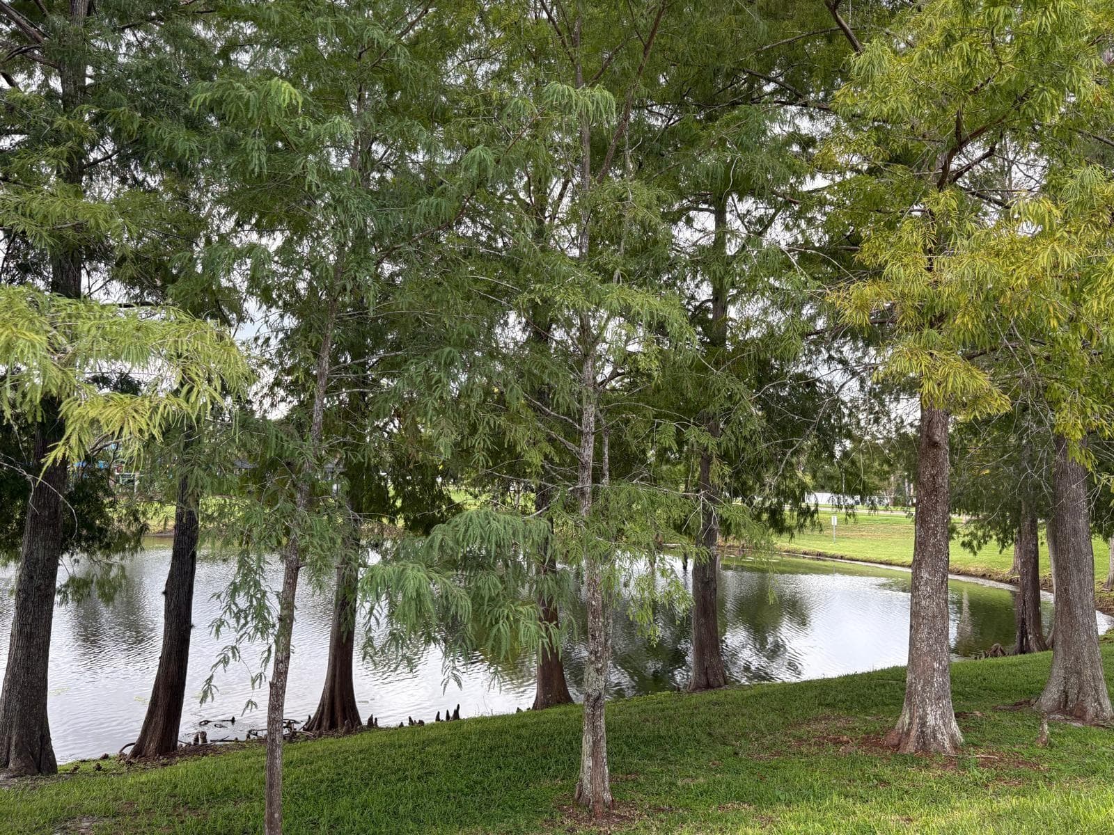 Single Family Residence at 255 TOM SAWYER CT, ORLANDO, photo 17 of 18