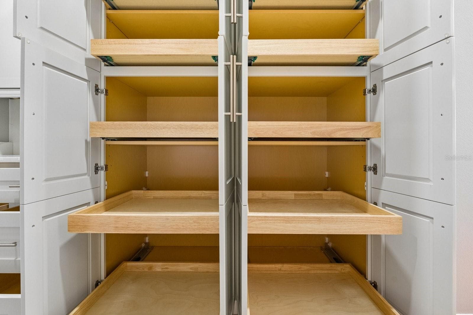 Pull-Out Cabinetry - 1003 KINGS WAY LN, TARPON SPRINGS