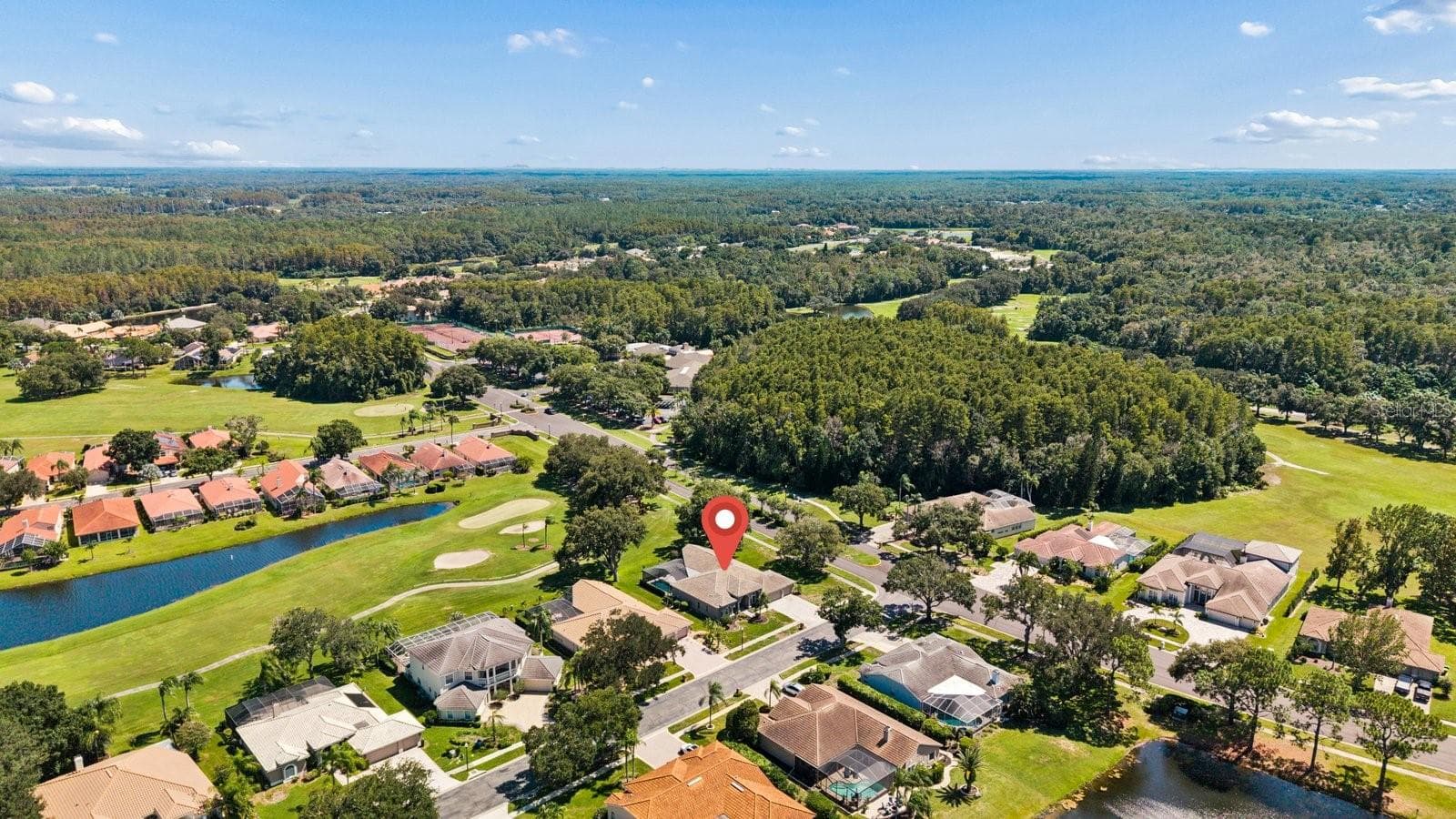 Single Family Residence at 1003 KINGS WAY LN, TARPON SPRINGS, photo 63 of 67