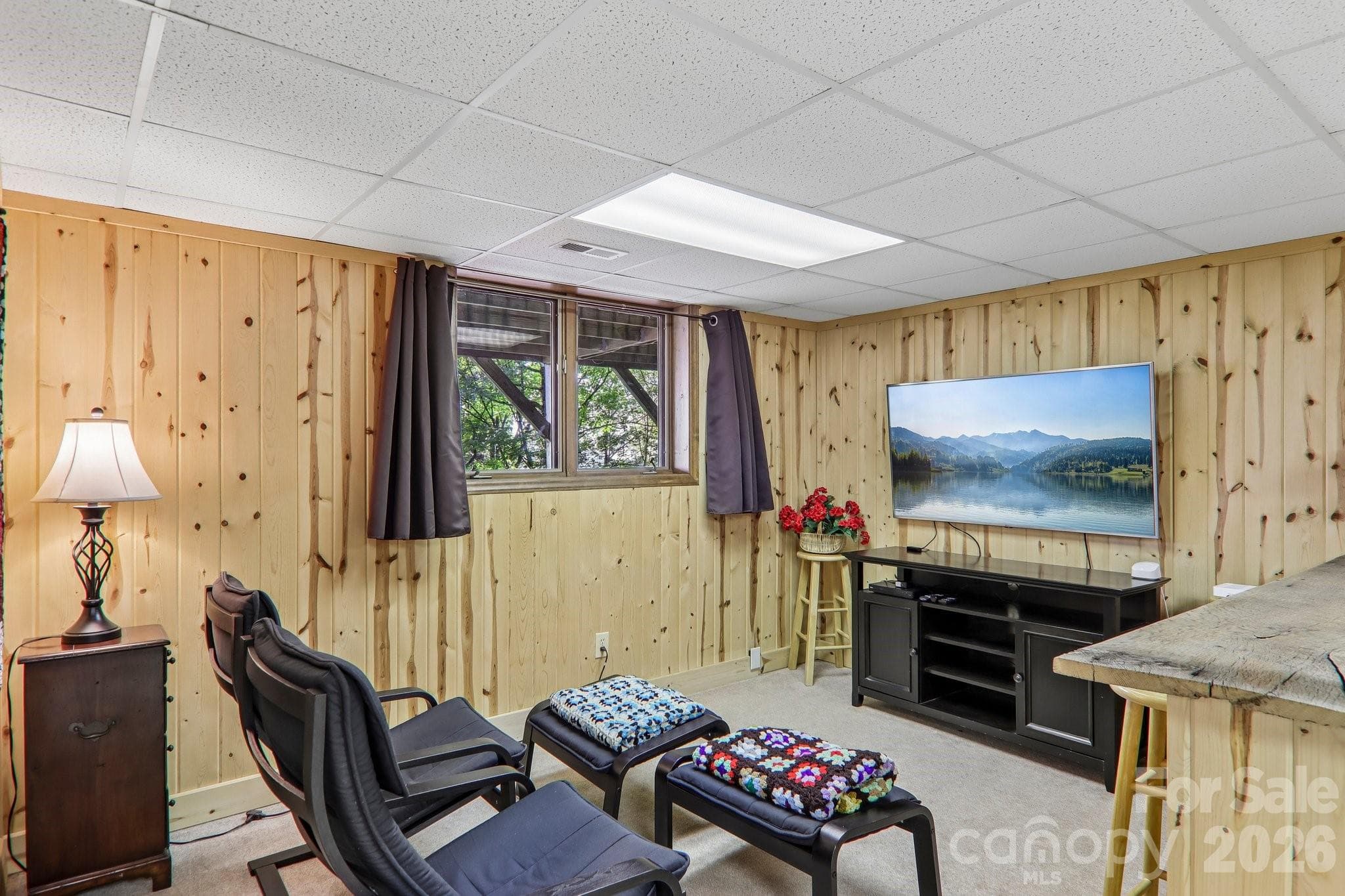 Great Game Room - 459 Lookout Drive, Mars Hill