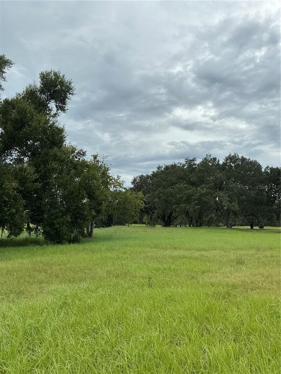 Land at WATER CREST CT, GROVELAND, photo 11 of 29