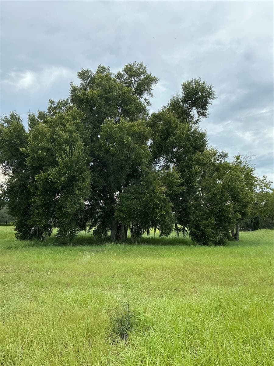 Land at WATER CREST CT, GROVELAND, photo 12 of 29
