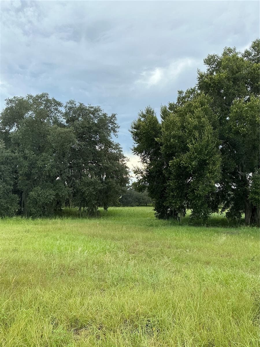 Land at WATER CREST CT, GROVELAND, photo 13 of 29
