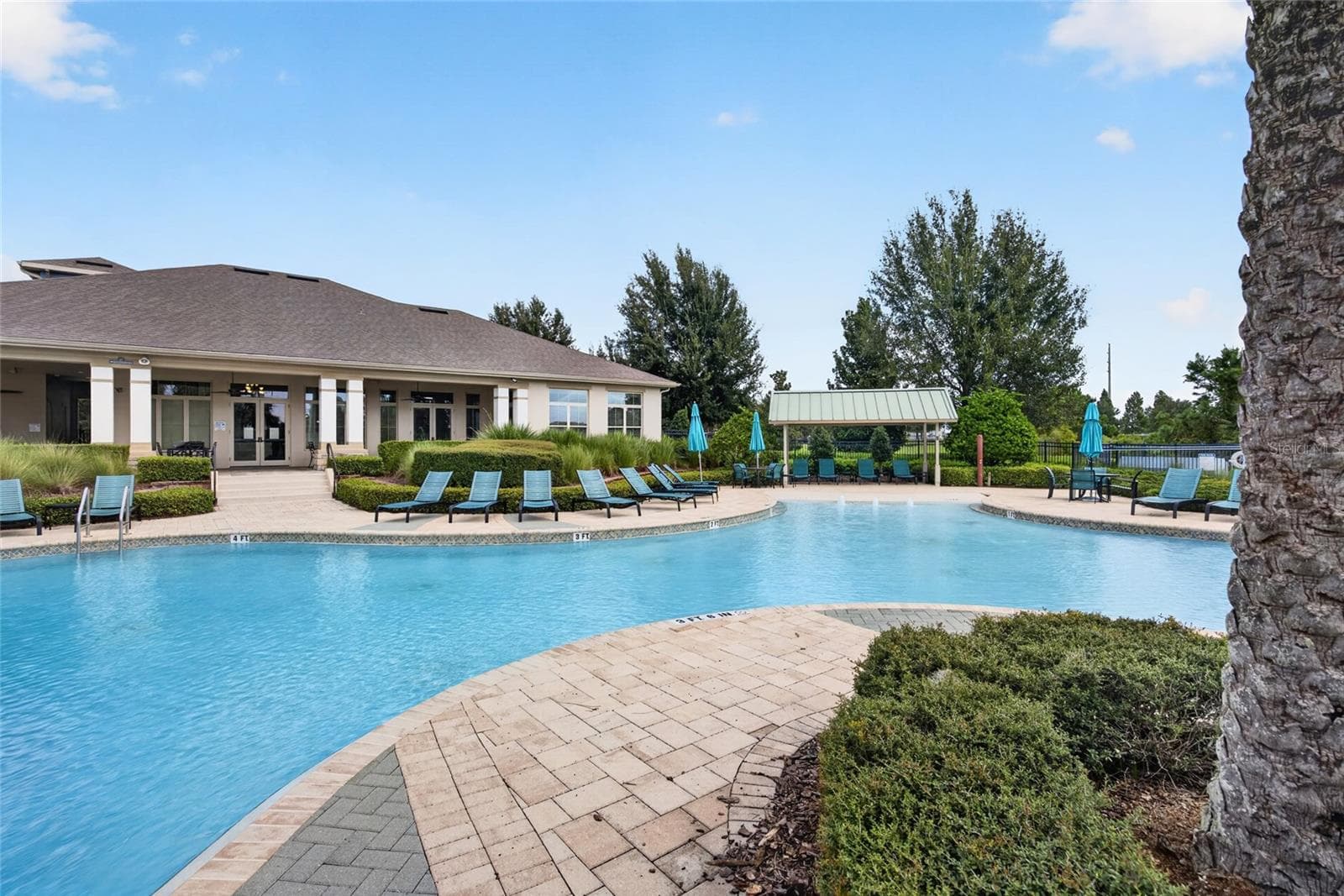 Community Pool - 16137 HAMPTON CROSSING DR, WINTER GARDEN