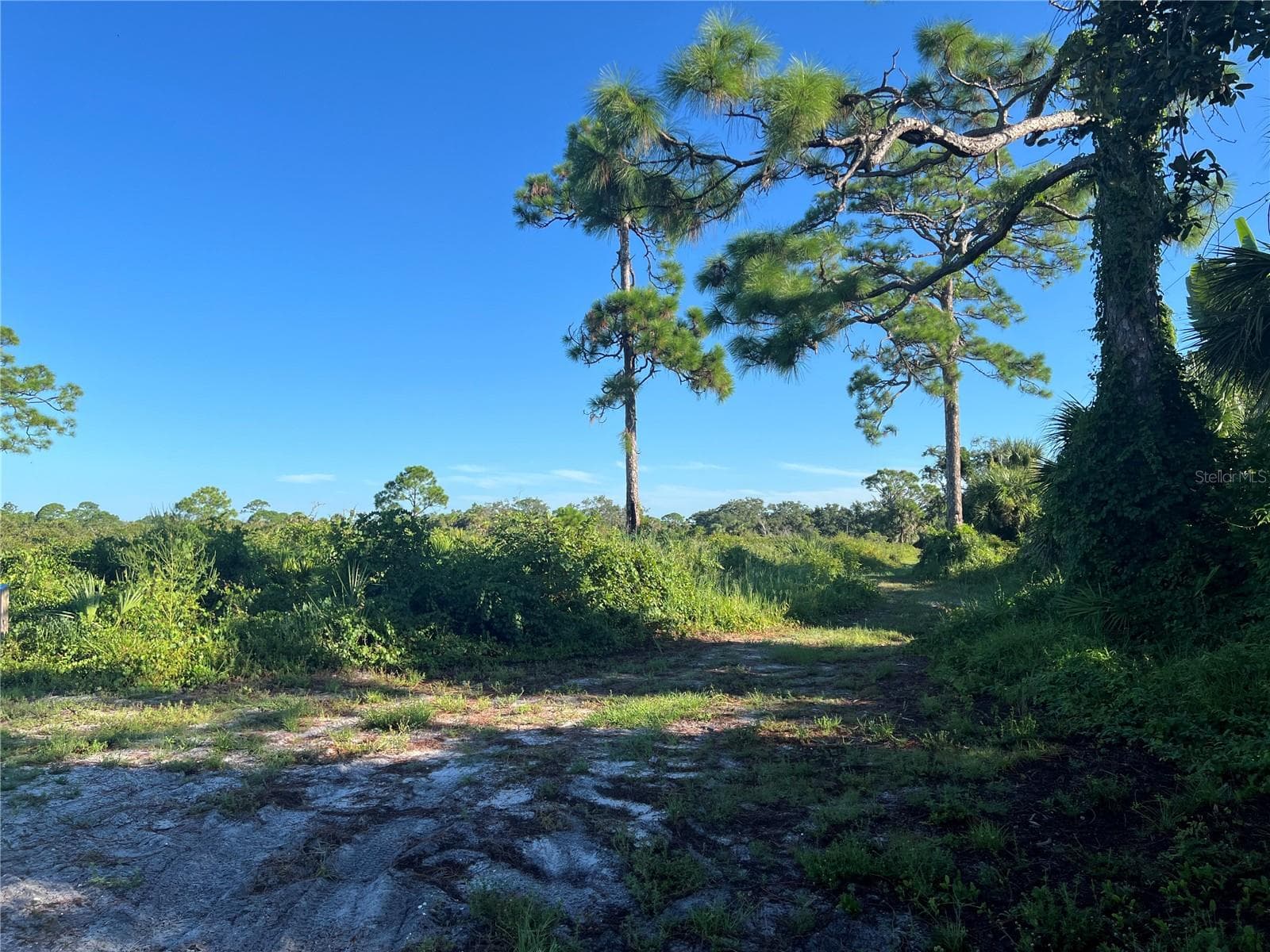 Land at EUCLID RD, VENICE, photo 11 of 26