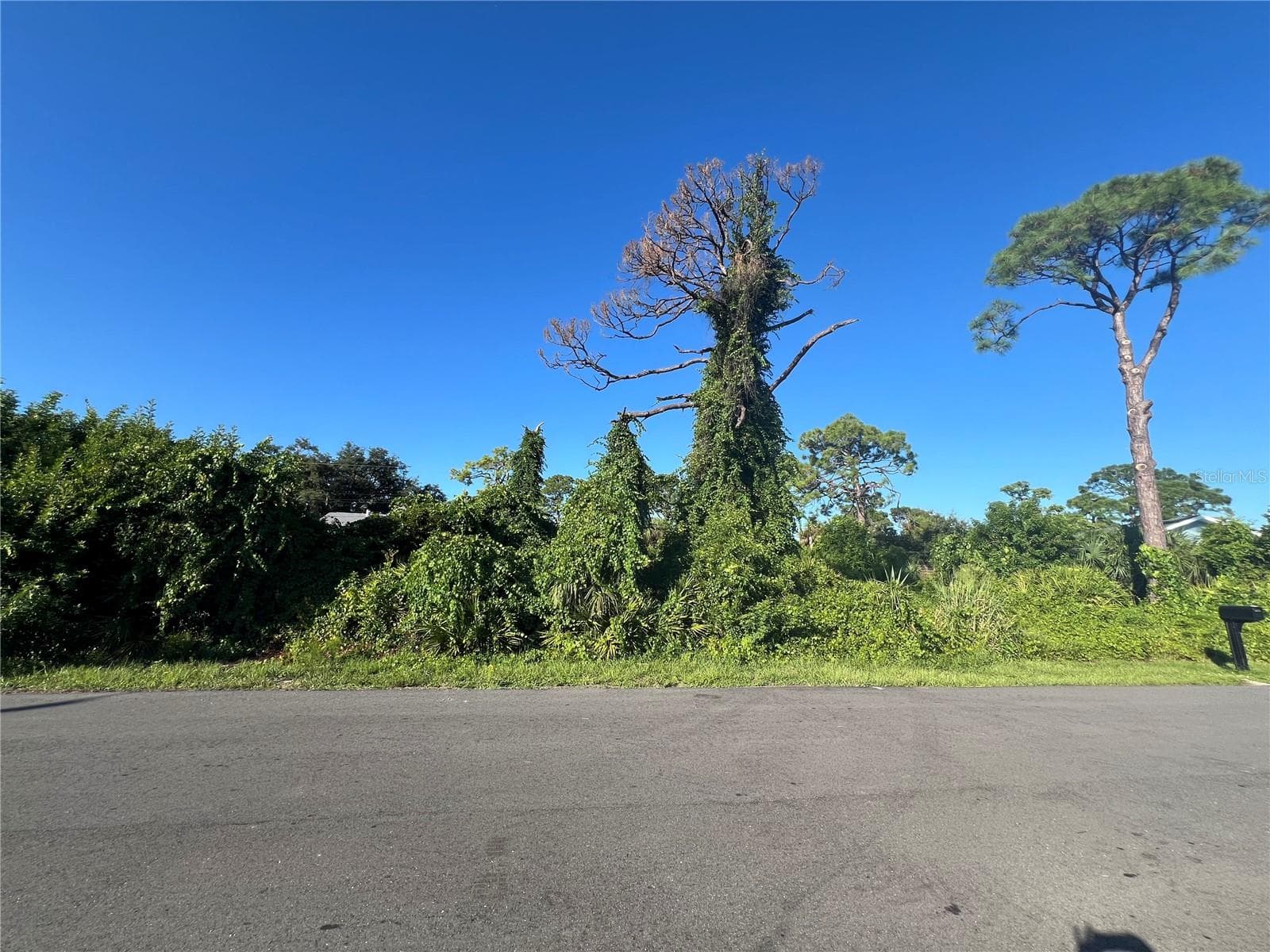 Land at EUCLID RD, VENICE, photo 18 of 26