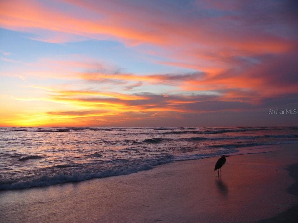 VENICE BEACH AT SUNSET - EUCLID RD, VENICE