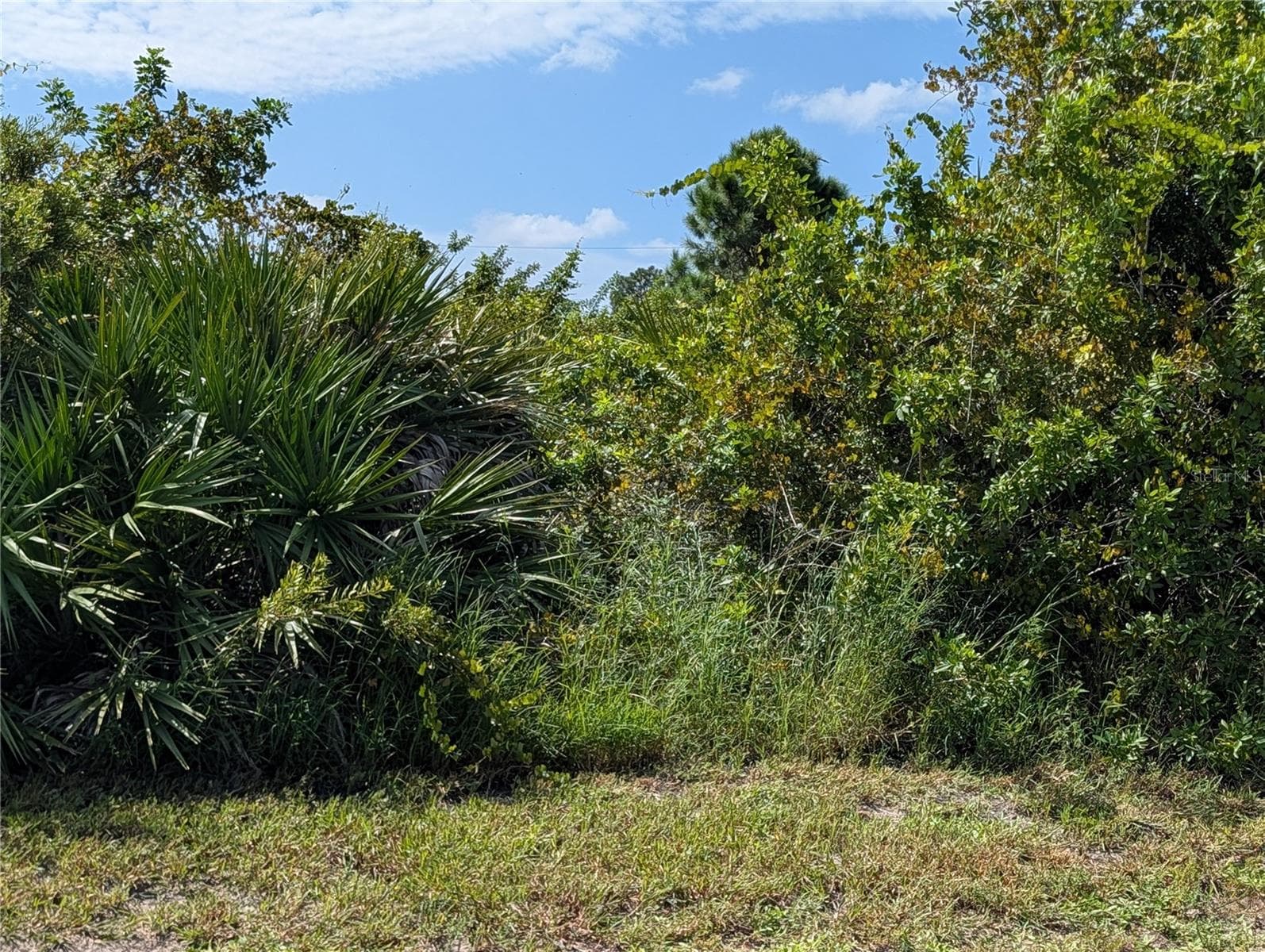 Land at 281 BAYTREE DR, ROTONDA WEST, photo 7 of 10