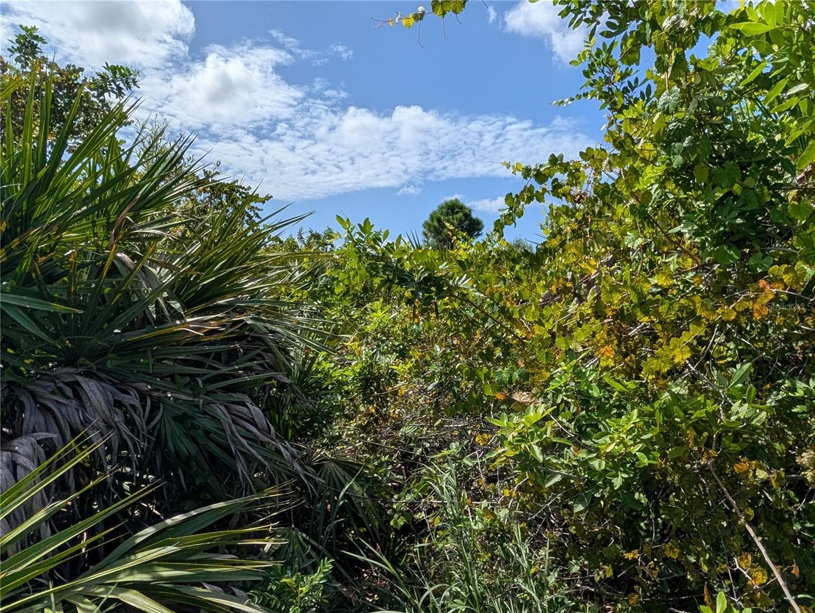 Land at 281 BAYTREE DR, ROTONDA WEST, photo 8 of 10