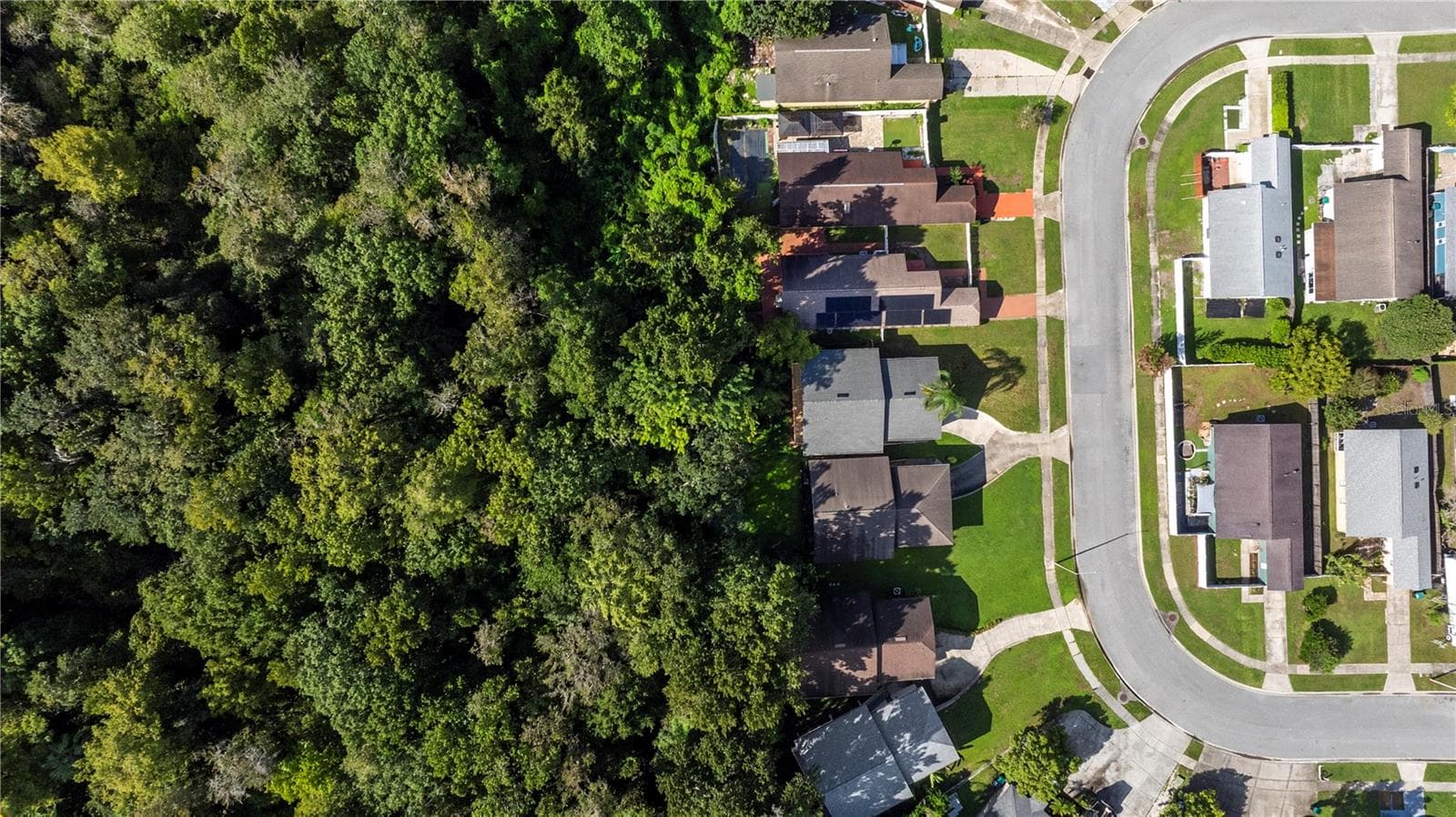 Aerial view - 9848 PINEY POINT CIR, ORLANDO