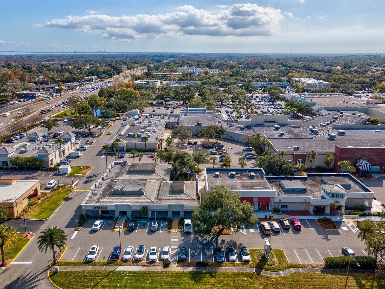 Look at all the shops to explore across the street - 3076 EASTLAND BLVD #203, CLEARWATER