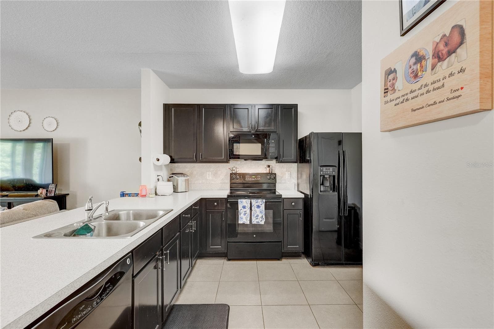 Townhouse at 9904 HOUND CHASE DR, GIBSONTON, photo 3 of 40