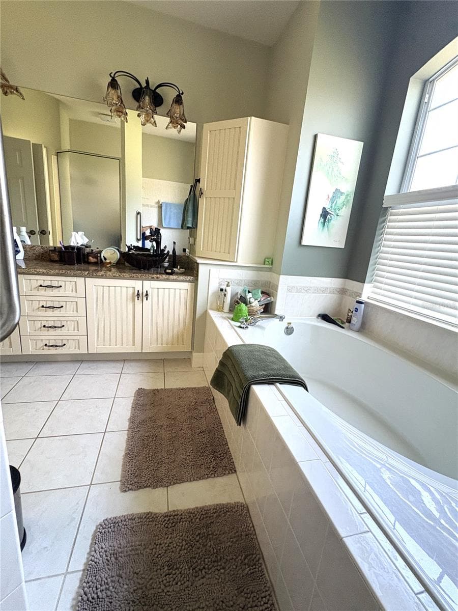from shower overlooking garden/soaking tub and dual vanity - 19588 SW 86TH LN, DUNNELLON