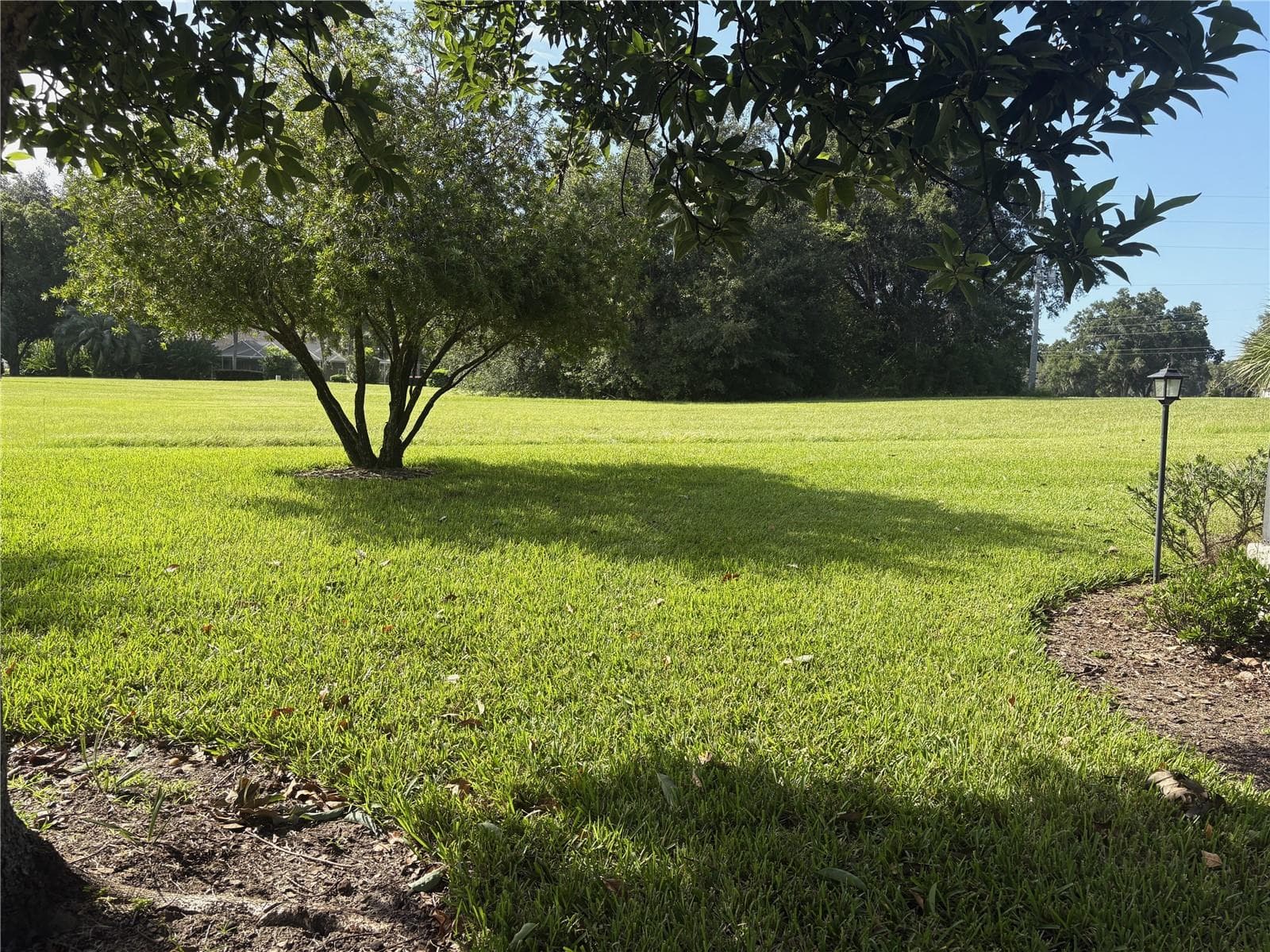 view from west side of home looking over greenbelt area - 19588 SW 86TH LN, DUNNELLON