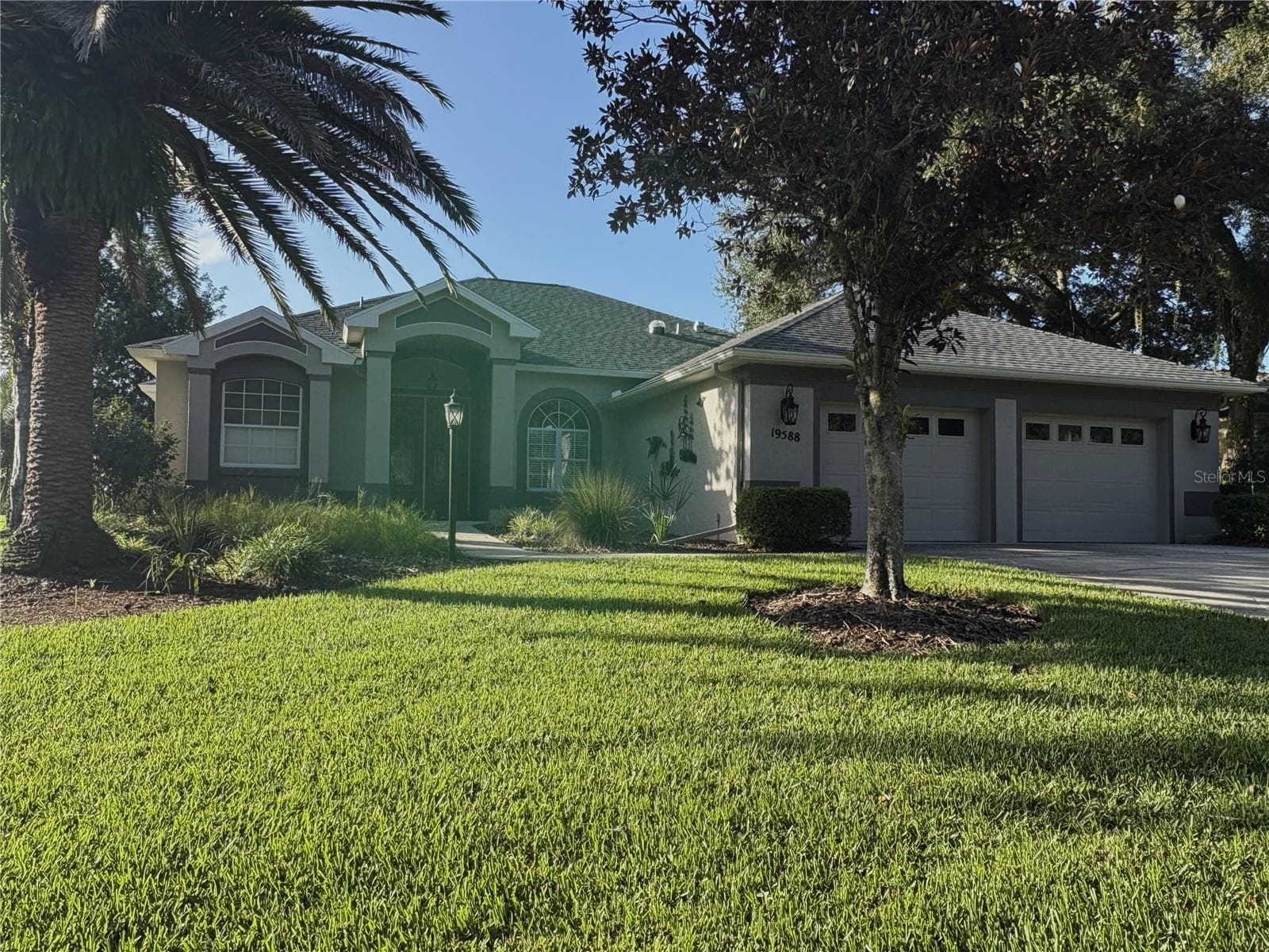 beautiful morning - 19588 SW 86TH LN, DUNNELLON