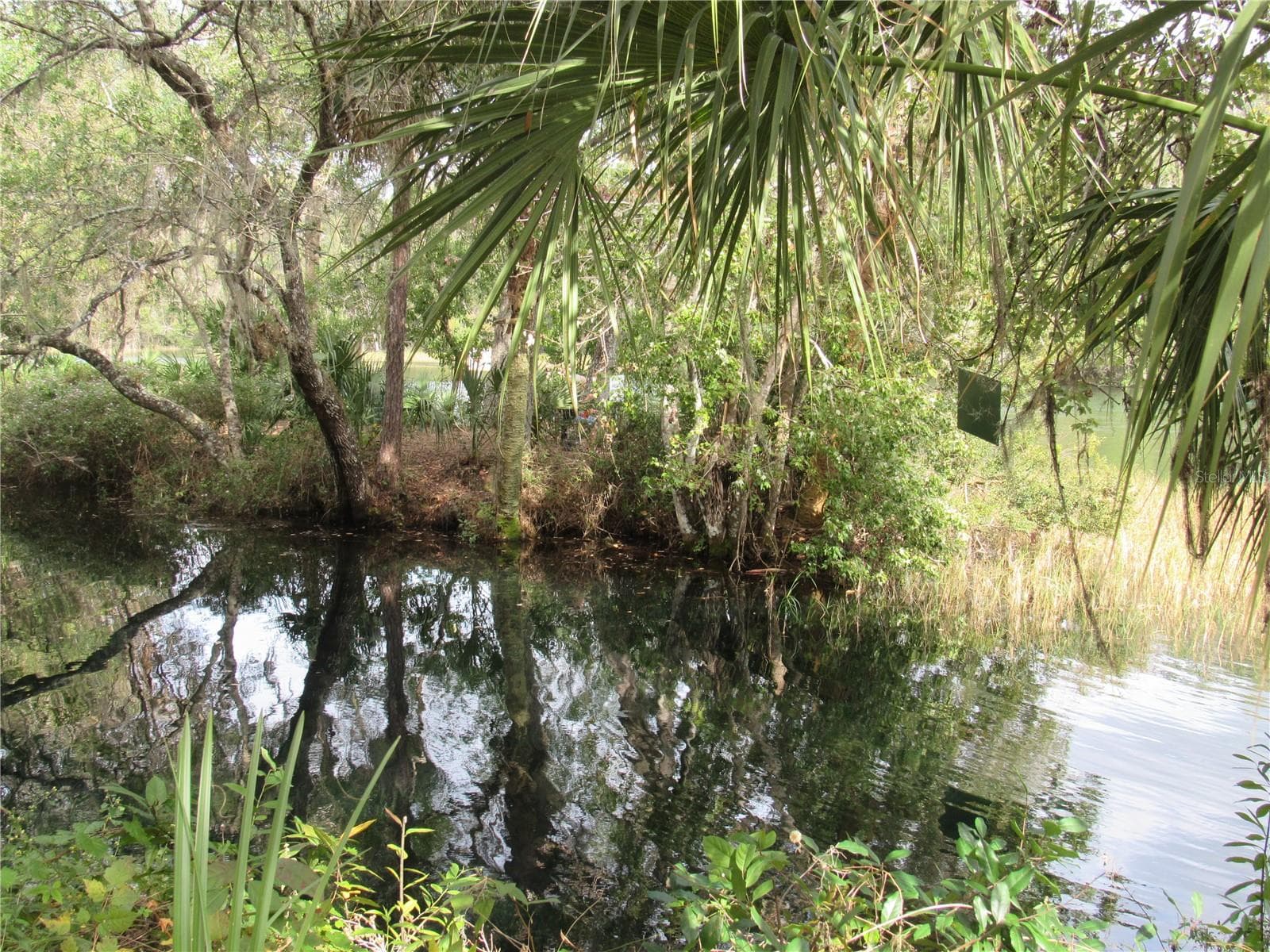 launch lagoon - 19588 SW 86TH LN, DUNNELLON