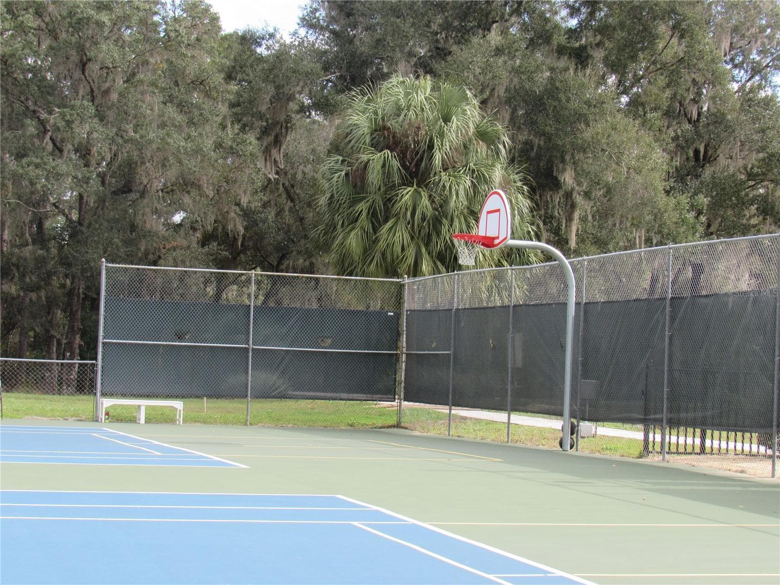 basketball hoop - 19588 SW 86TH LN, DUNNELLON