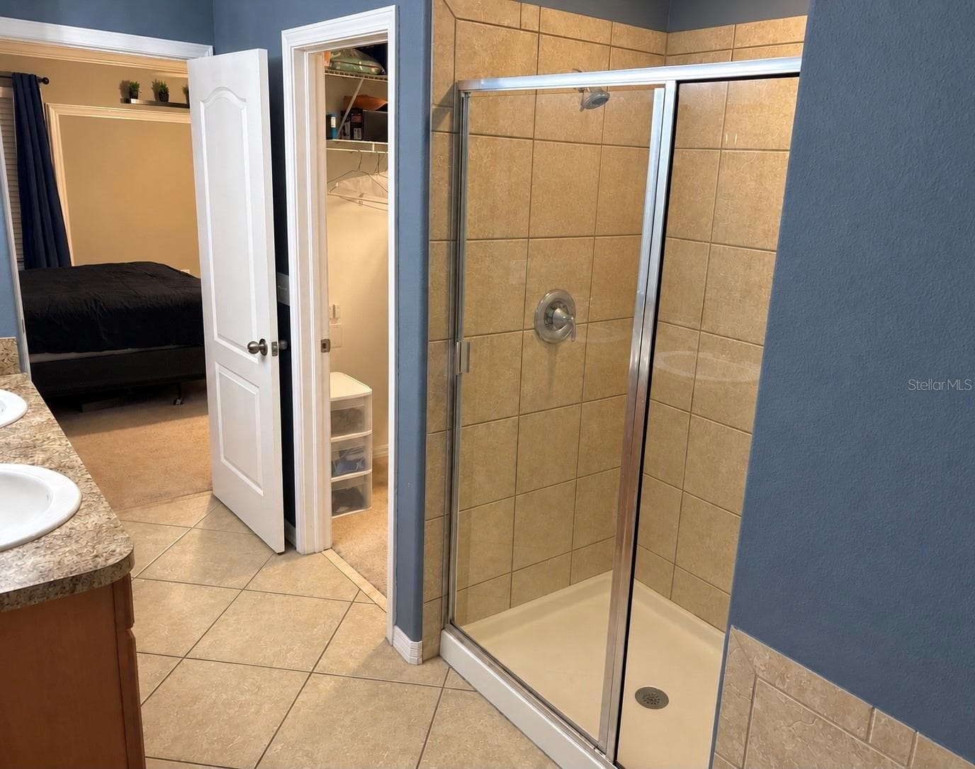 Master bathroom - 9412 TRUMPET VINE LOOP, TRINITY