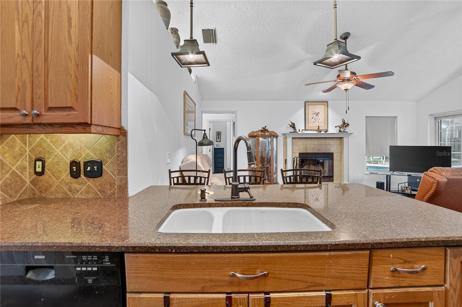 Kitchen - 2010 RIVER PARK CT, VALRICO