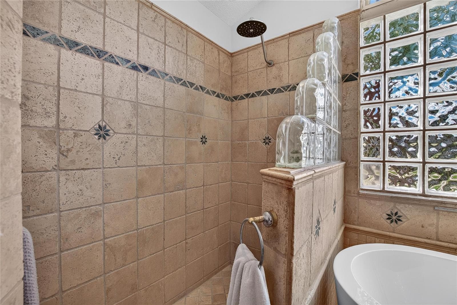 Primary Bath Walk-In Shower - 2010 RIVER PARK CT, VALRICO