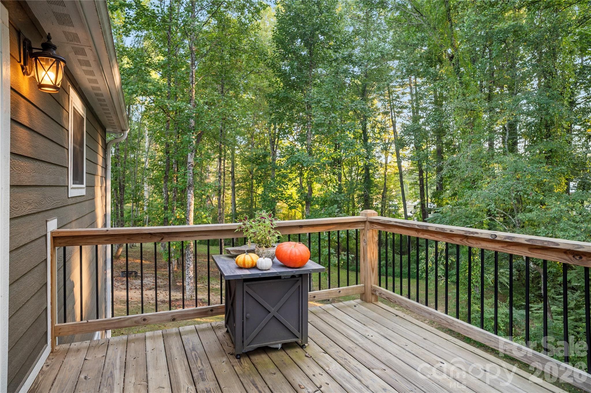 Single Family Residence at 212 Walt Drive, Hendersonville, photo 37 of 45