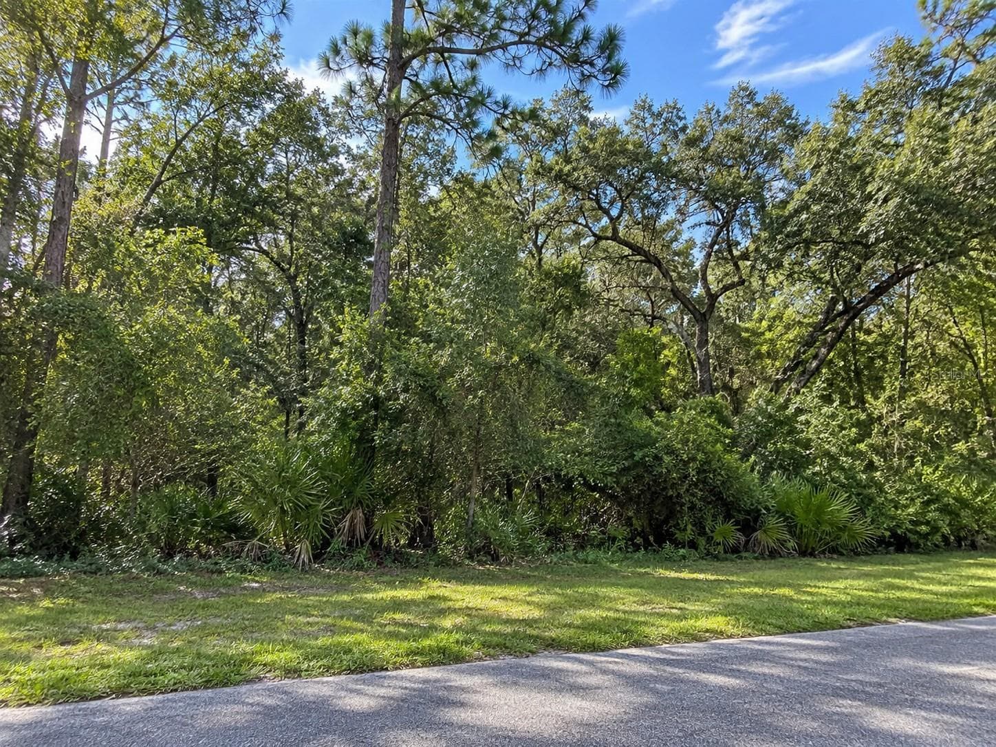 Land at LITHIA PINECREST RD, VALRICO, photo 2 of 14