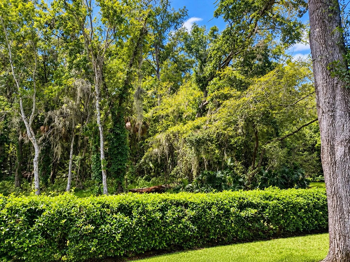 Villa at 3334 KILLDEER PL, PALM HARBOR, photo 39 of 45