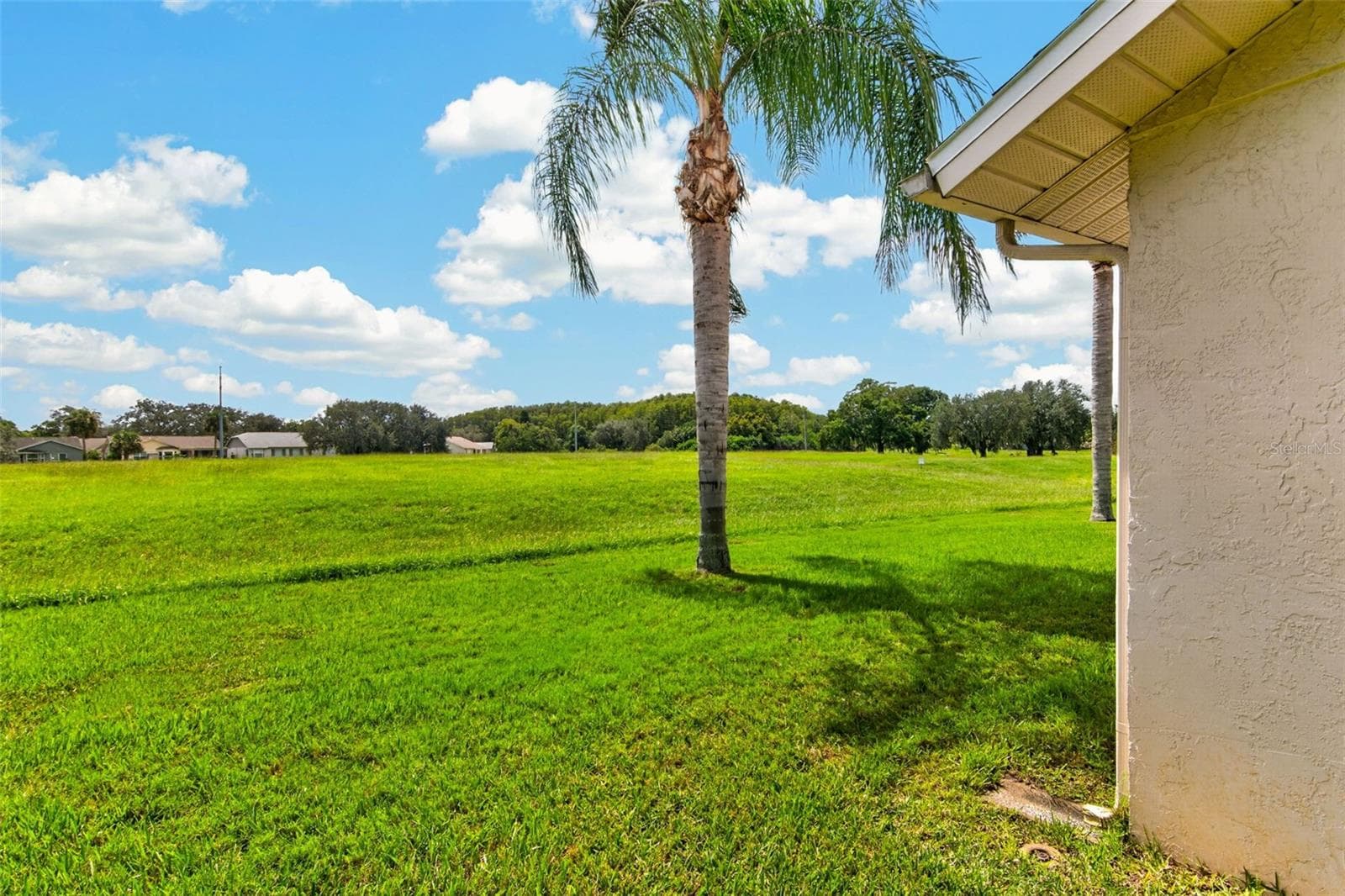Single Family Residence at 10707 FALLEN LEAF LN, PORT RICHEY, photo 55 of 66