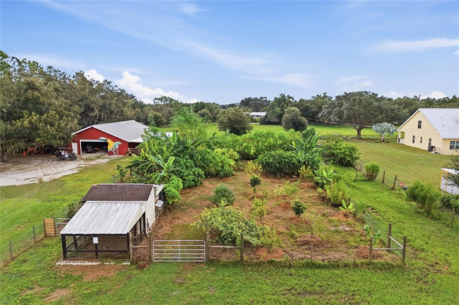Chicken coop and Fruit Forest - 1132 LENA LN, SARASOTA