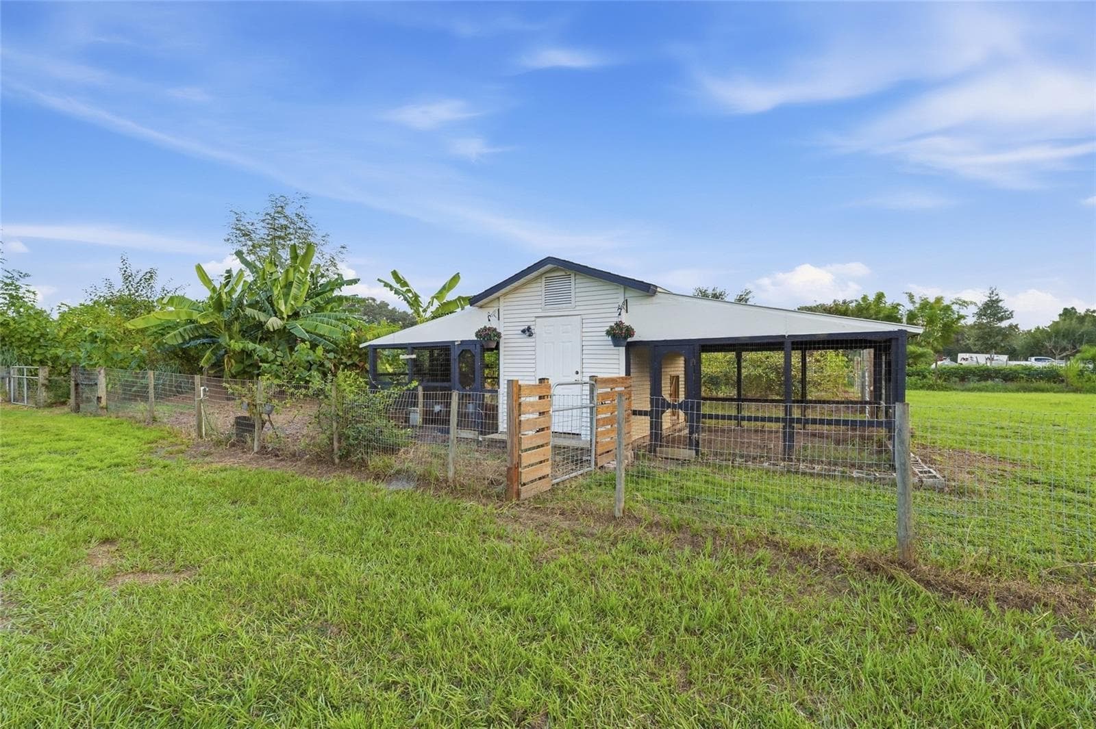 Chicken Coop - 1132 LENA LN, SARASOTA