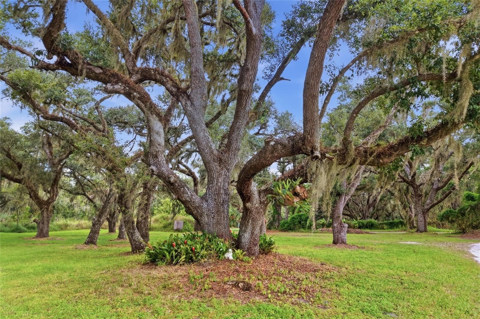 Single Family Residence at 1132 LENA LN, SARASOTA, photo 88 of 97