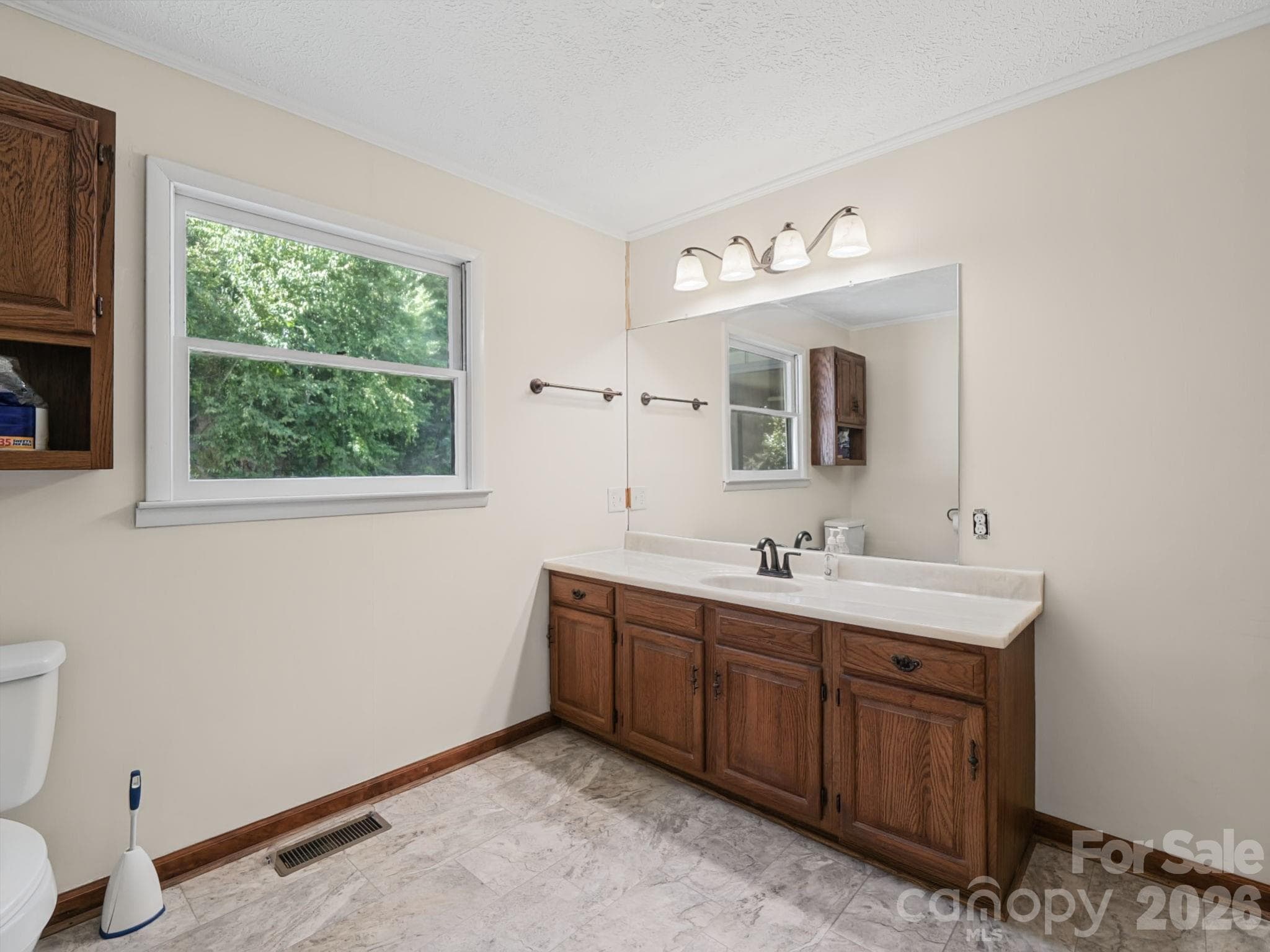 Hall bathroom sink - 727 E Lyda Road, Hendersonville