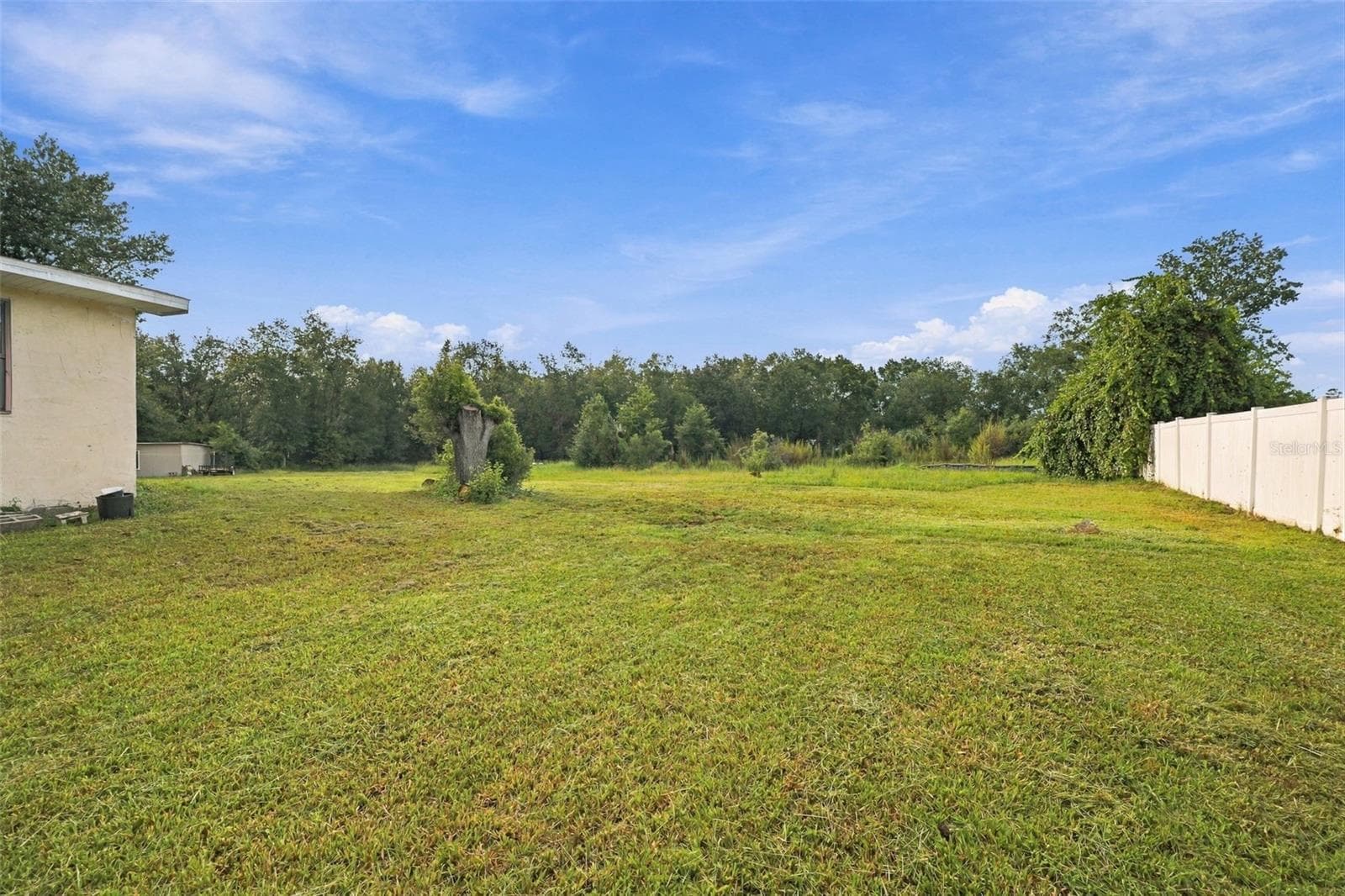 Single Family Residence at 4527 REDCOAT DR, WESLEY CHAPEL, photo 24 of 27