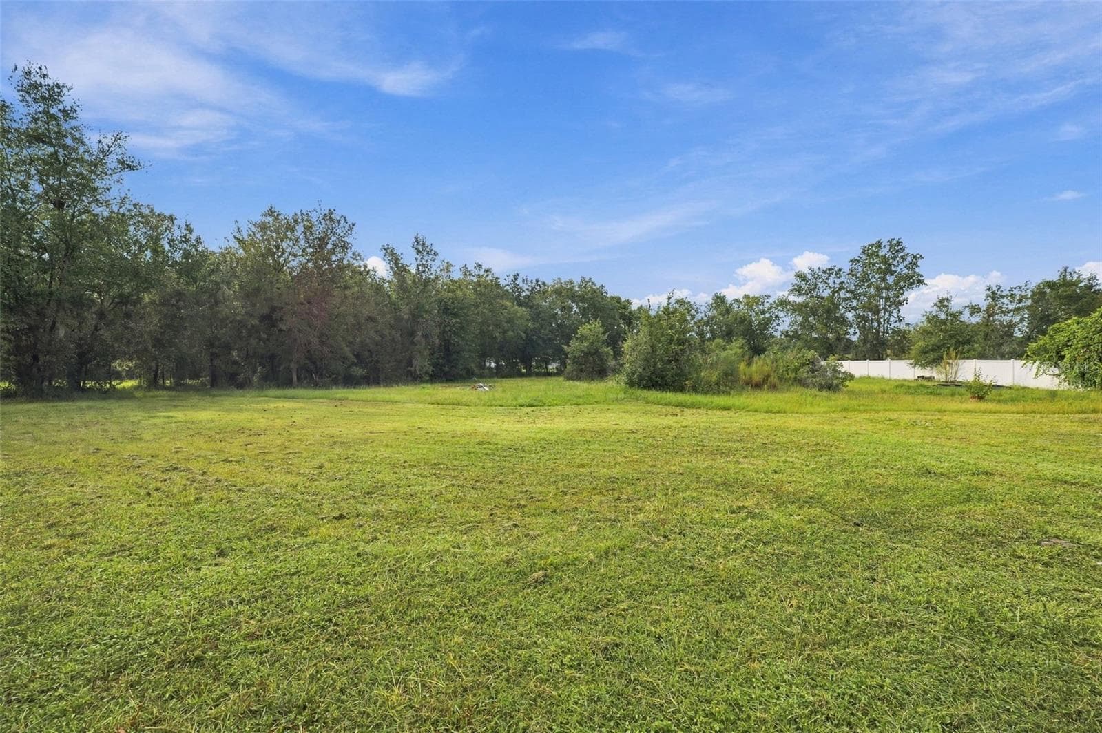 Single Family Residence at 4527 REDCOAT DR, WESLEY CHAPEL, photo 23 of 27