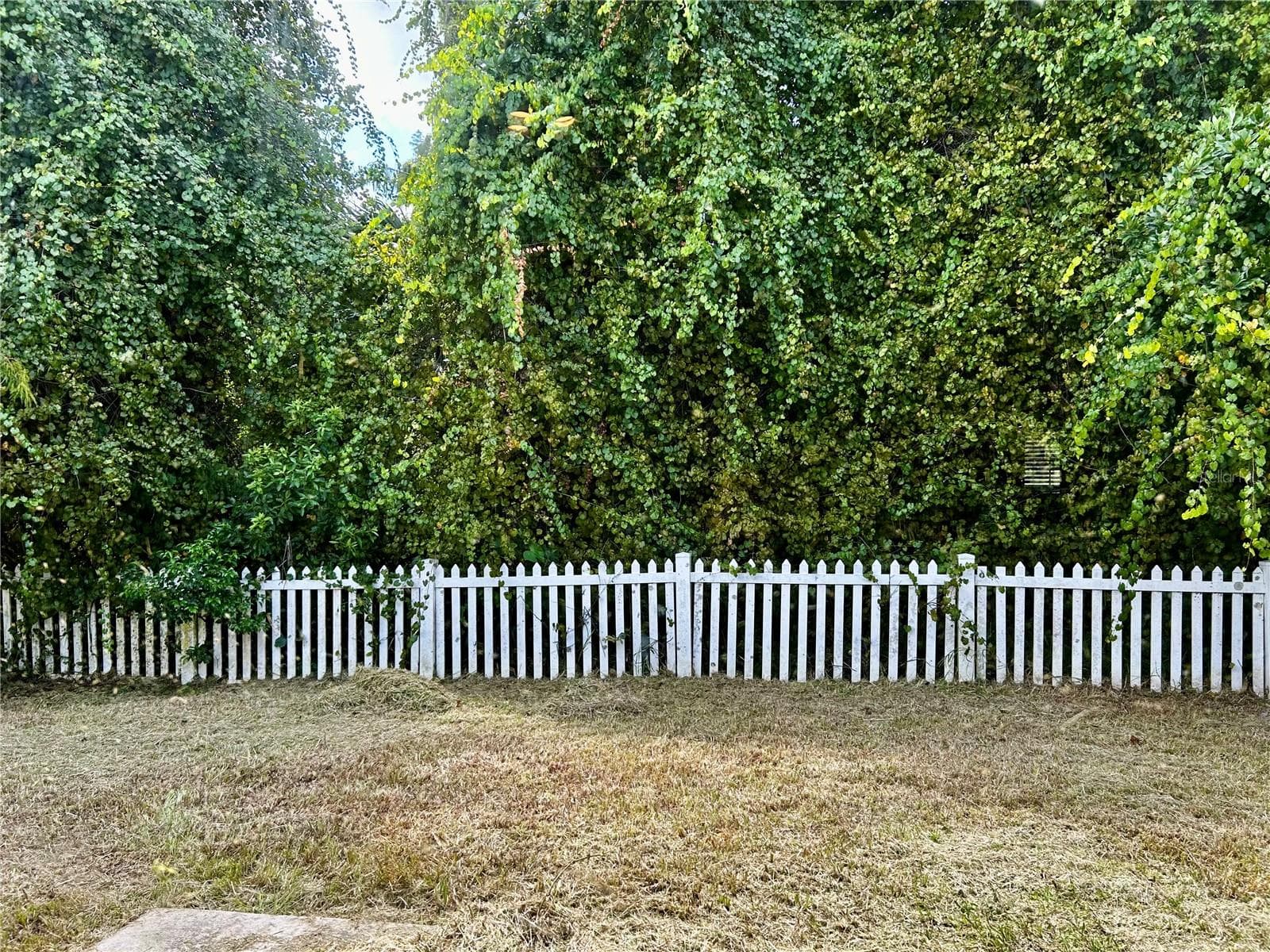 Single Family Residence at 4326 BOCA WOODS DR, ORLANDO, photo 30 of 48