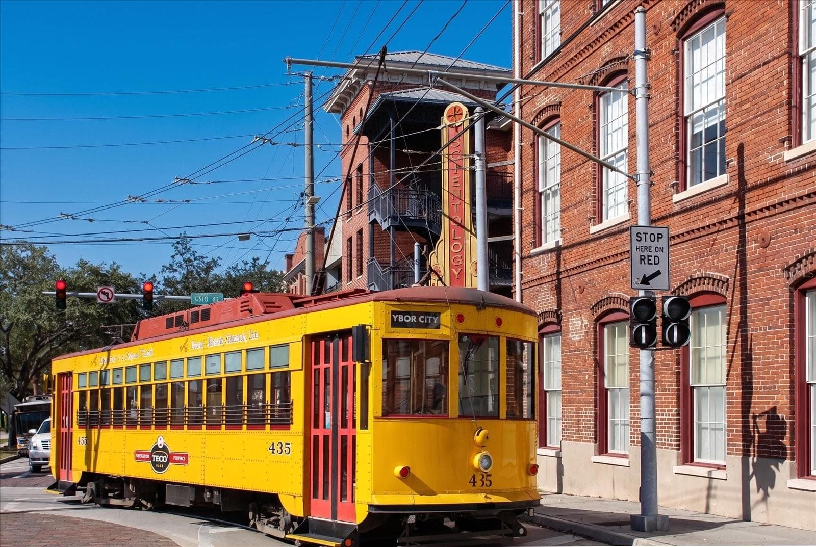 Take the free trolley to Ybor City or up Franklin St. - 947 SEDDON COVE WAY #947, TAMPA
