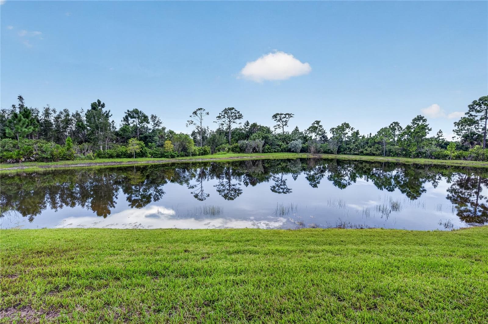 Waterview with Preserve - 257 DAYLILY BLVD, NOKOMIS