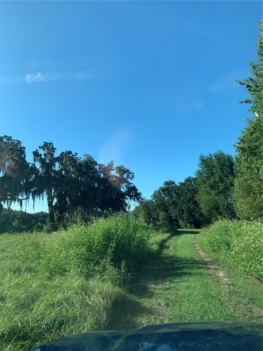 Land at 1271 N FLORIDA AVE, HERNANDO, photo 3 of 3