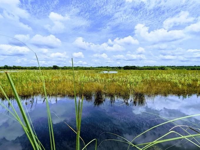 Lake Woodruff - 1806 GLENWOOD OAKS LN, DELAND