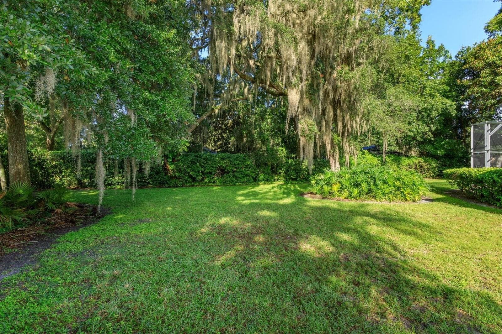 Peaceful backyard - 536 AVON GLADE PL, SANFORD