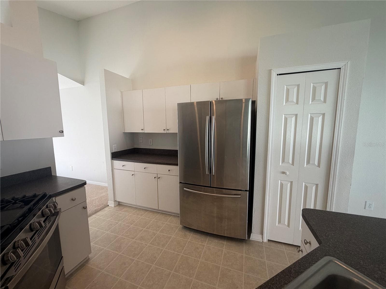 Single Family Residence at 16005 STAGS LEAP DR, LUTZ, photo 4 of 26