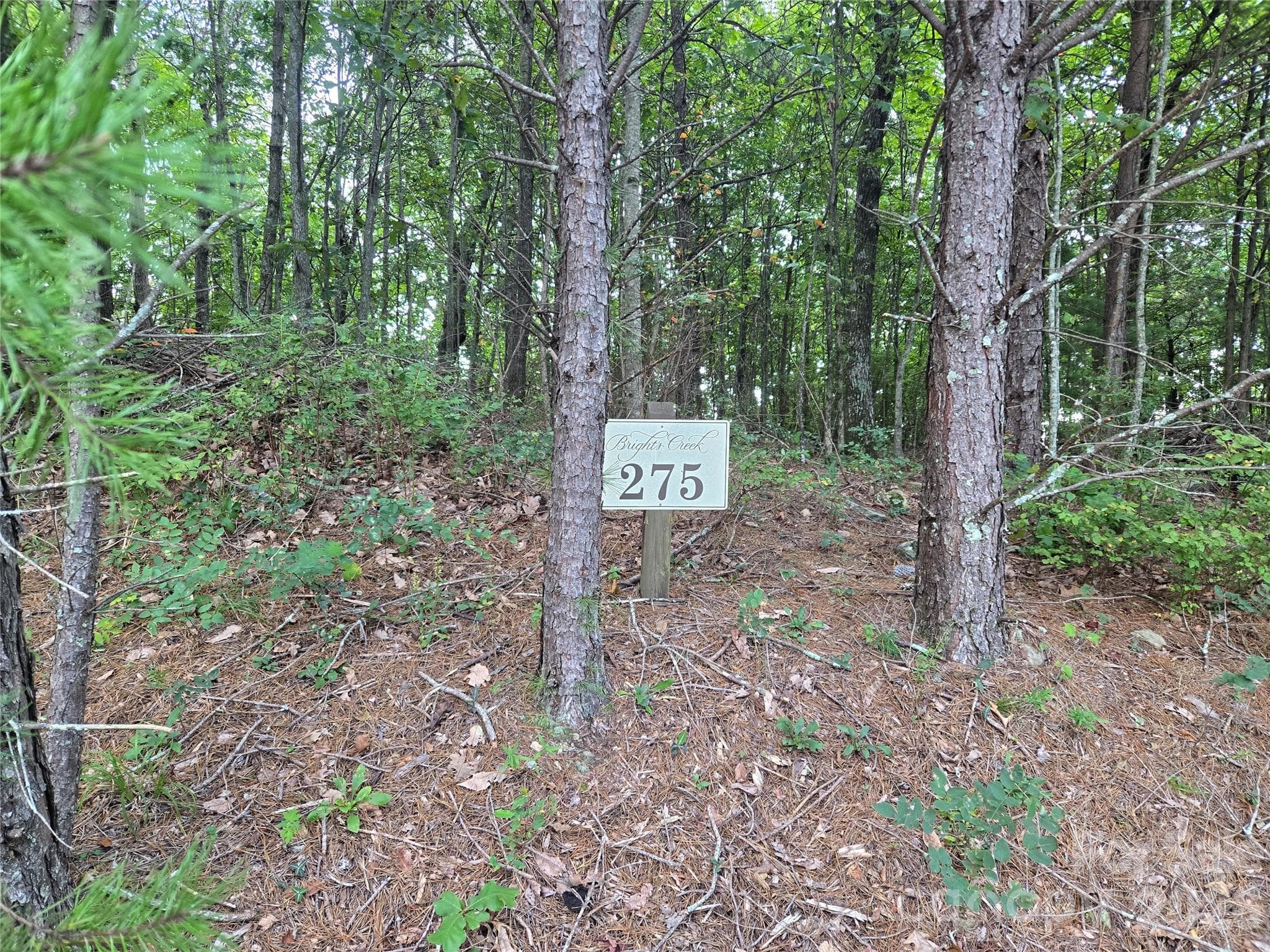 275 Kincaid Place