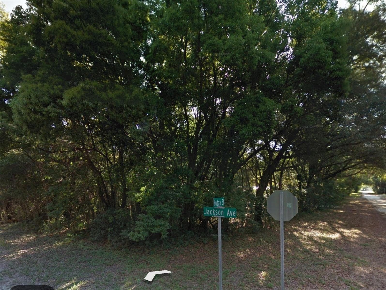 Land at 0 JACKSON AVE, BROOKSVILLE, photo 2 of 3
