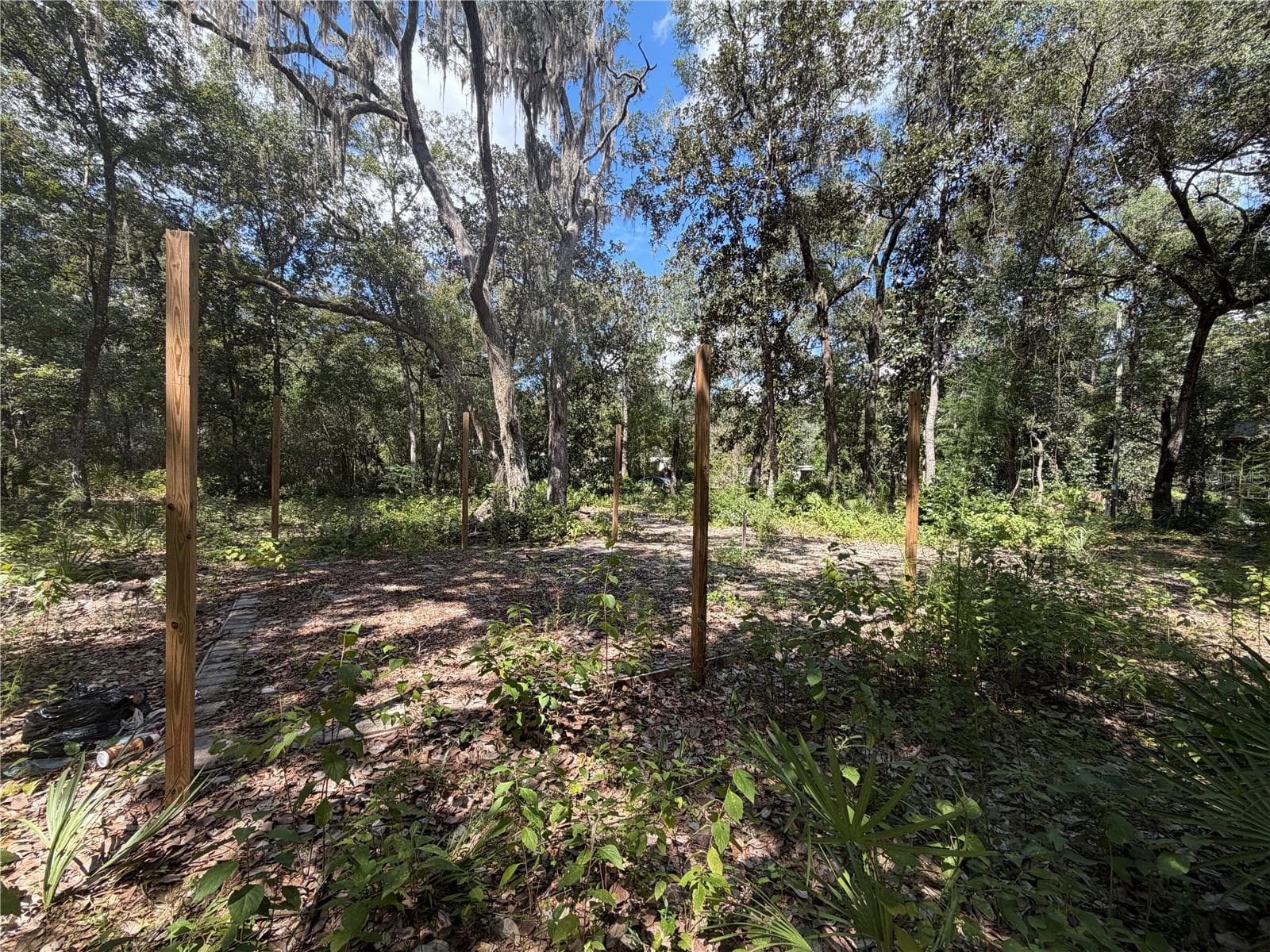Land at 0 NE 37TH ST, SILVER SPRINGS, photo 6 of 11