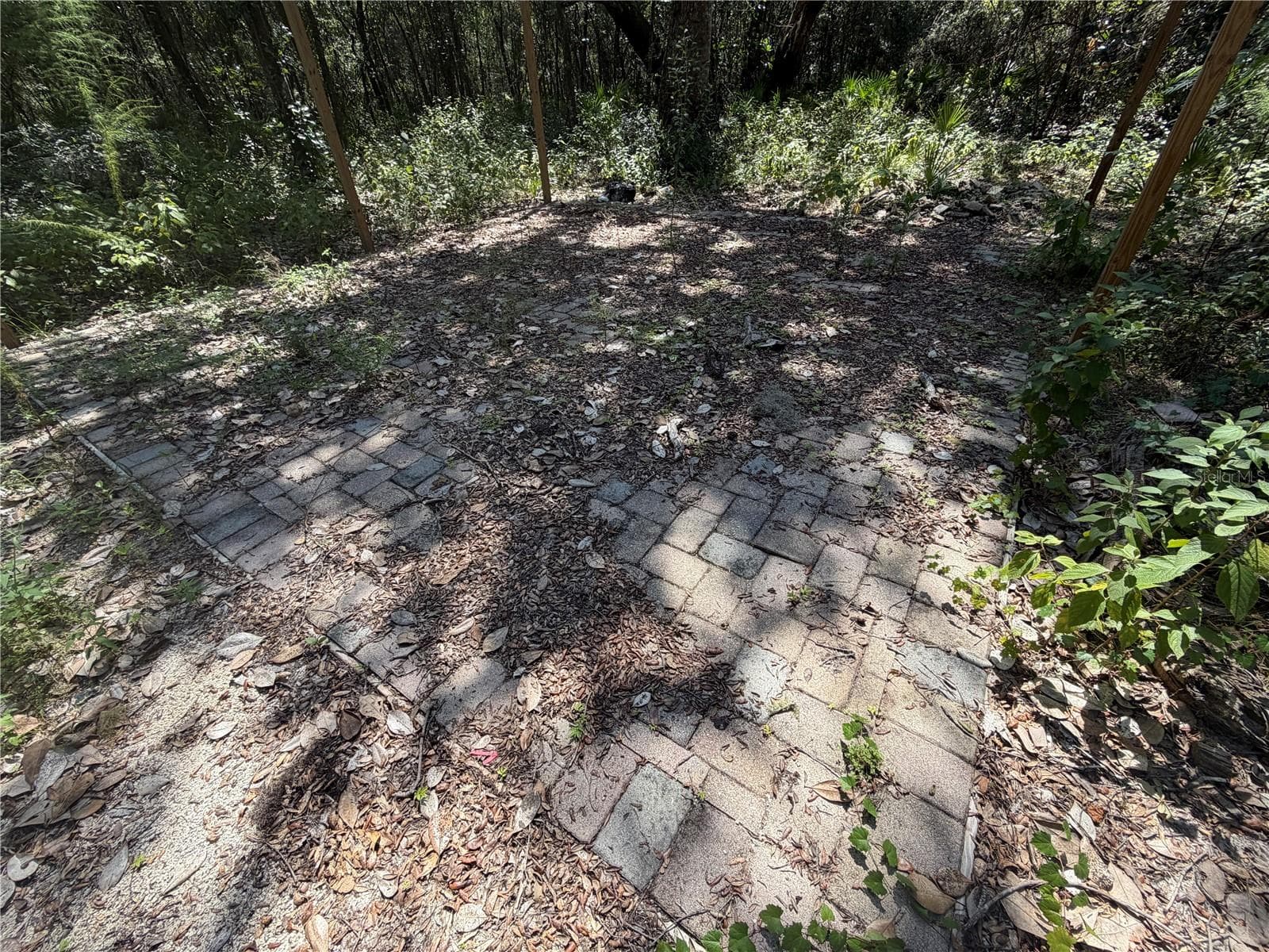 Land at 0 NE 37TH ST, SILVER SPRINGS, photo 7 of 11