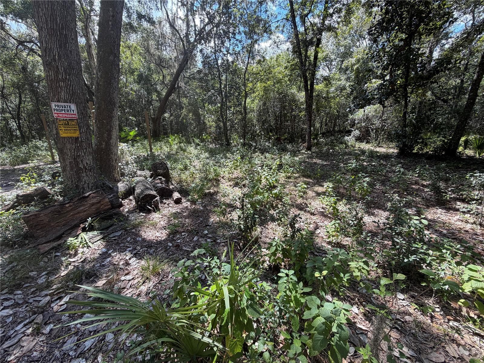 Land at 0 NE 37TH ST, SILVER SPRINGS, photo 5 of 11