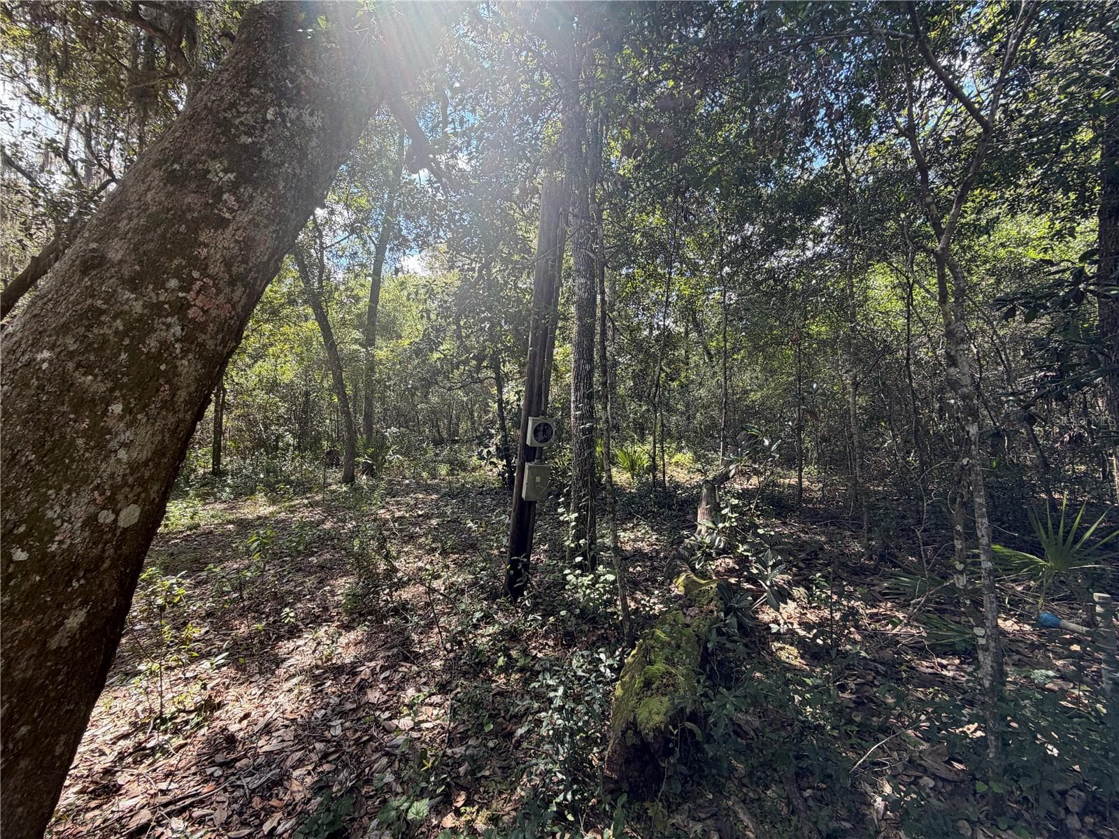 Land at 0 NE 37TH ST, SILVER SPRINGS, photo 8 of 11